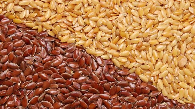 Slowly rotating pile of raw flaxseeds divided into golden and brown halves. top view shot