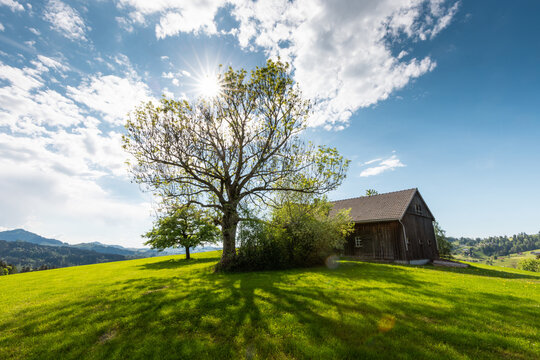 Landschaft im Appenzellerland im Fr&uuml;hling