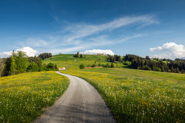 Naklejka premium Landschaft im Appenzellerland im Frühling