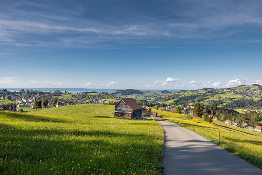Landschaft im Appenzellerland mit Blick auf Trogen, Rehetobel und den Bodensee im Hintergrund. Weite H&uuml;gel, Natur und klare Aussicht in der Ostschweizer Fr&uuml;hlingslandschaft.