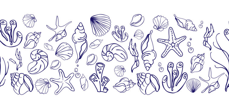 Hand drawn marine seamless border featuring seashells, starfish, coral and underwater elements for invitations, packaging, summer branding, stationery, coastal decor. Vector illustration