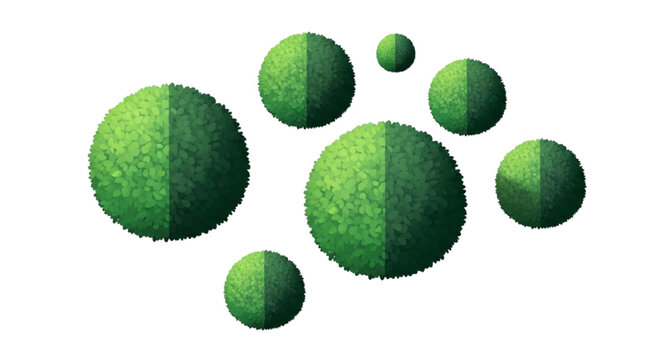 Round Boxwood Topiary Shrubs Set - Green Sphere Garden Bushes with Realistic Leaf Texture on on transparency background