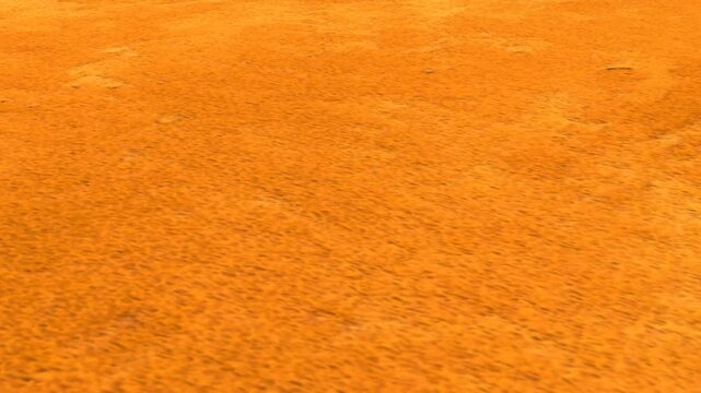 Venus planet and space . 3d Animation