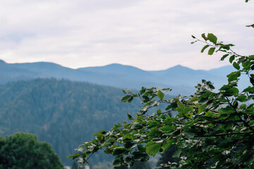 Mountains and trees under a cloudy sky in a natural setting during an overcast day with distant peaks visible