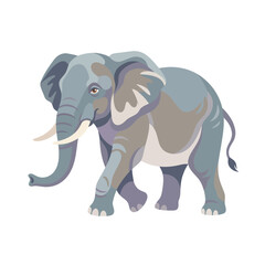 Fototapeta premium Elephant walking forward