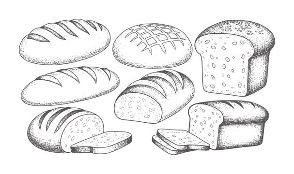 Assortment of Hand Drawn Loaves and Sliced Bread loaf baked food