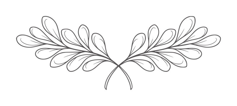 Delicate symmetrical dark grey leaves white leaf plant botanical nature