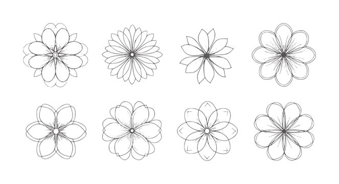 Eight hand drawn line flower in dark grey outline floral botanical