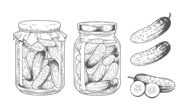 Hand drawn pickles in jars and whole and sliced cucumbers food preservation