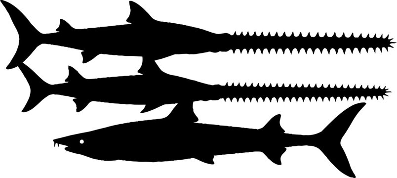 Abstract Sawfish Silhouette with Blue and White Geometric Patterns