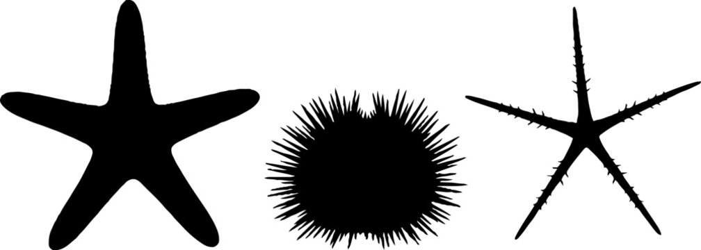 Marine submarine vessel silhouette in blue optical pattern