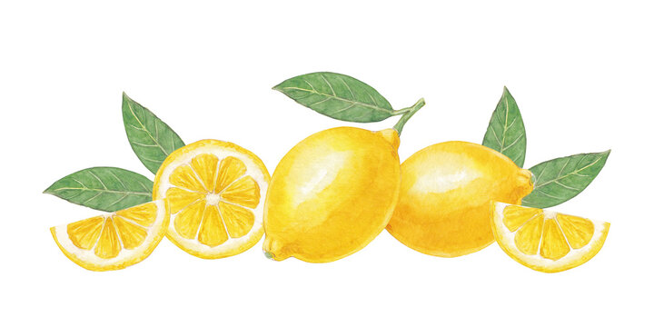 Watercolor lemon border clipart with sliced citrus and green leaves 
