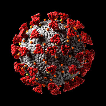 Hantavirus 2026. Andes virus close up