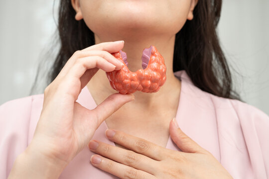 Hyperthyroidism, Overactive Thyroid, Thyroid Lymphoma, Asian woman with thyroid gland human anatomy model.