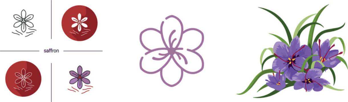 A complete saffron flower vector collection featuring growth stages line art icons and a vibrant purple floral bunch isolated on a grey background.