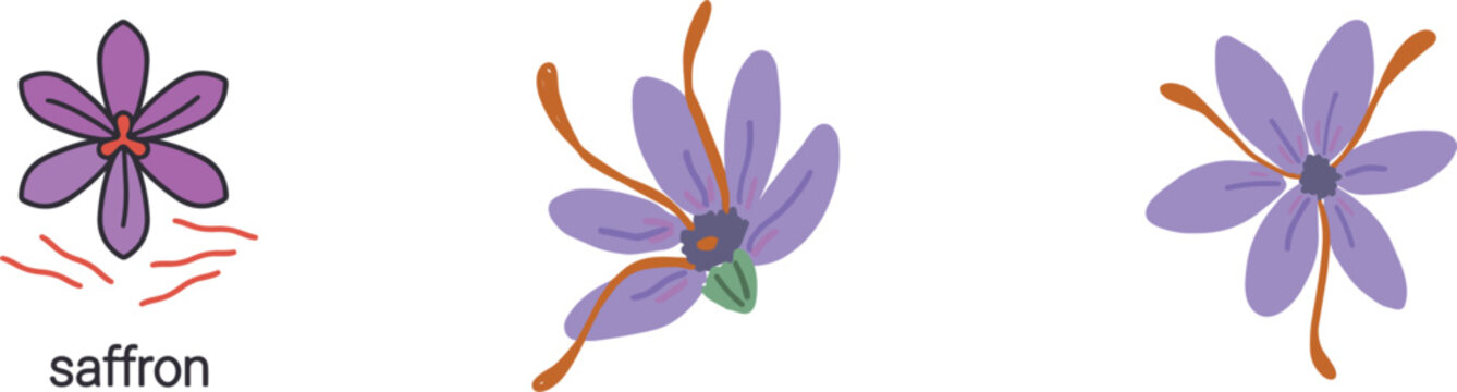 A vector collection featuring a detailed saffron flower illustration along with bundles of red spice threads and a minimalist circular logo isolated on a grey background.