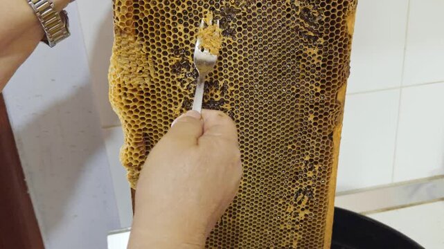 Cinematic close-up of cleaning a honeycomb frame, scraping beeswax during traditional beekeeping and honey extraction preparation.