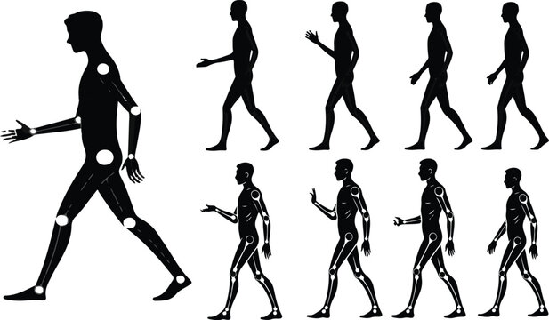 Human motion silhouette set with joints marked for walking animation cycle gait analysis biomechanics and ergonomic studies in medical healthcare or sports science vector illustration.