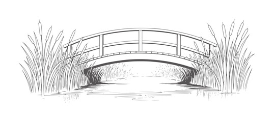 Of a wooden arched bridge over water with cattails reeds © Mahin