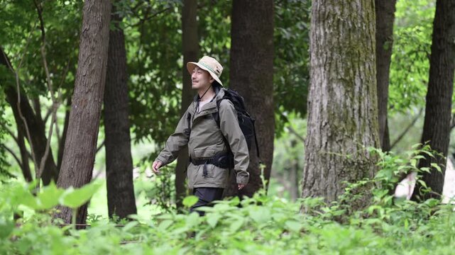 新緑の森でハイキングや登山を楽しむ景色を眺める歩く男性の健康的なアウトドアのライフスタイルの動画　