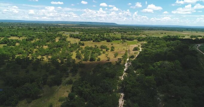 Cerrado pastureland with scattered native trees, sandy farm track and agricultural frontier near Arinos, Minas Gerais, Brazil across the Urucuia Plateau, drone orbit ascent and yaw left parallax