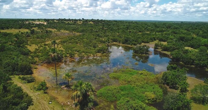 Seasonal freshwater lagoon with buriti palms, marsh vegetation and cerrado grassland near Arinos, Minas Gerais, Brazil inside the Urucuia River basin, Drone clockwise yaw reveal with orbit descent