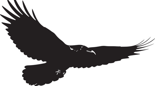 black eagles flying in formation against white background, power and freedom symbol, minimalist vector