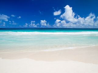 Obraz premium Sea beach. Tropical Maldives island with white sandy beach