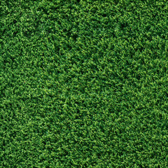 Fototapeta premium Seamless Tileable Lawn Grass Surface Texture Flat 1