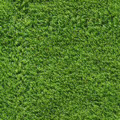 Obraz premium Seamless Tileable Lawn Grass Surface Texture Flat 3