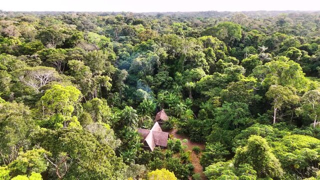Cinematic Drone Footage of Leticia and Arara in the Amazon Rainforest &ndash; Colombia&rsquo;s Gateway to the Jungle and River Life