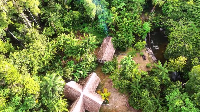 Cinematic Drone Footage of Leticia and Arara in the Amazon Rainforest &ndash; Colombia&rsquo;s Gateway to the Jungle and River Life