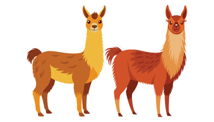 two llama clipart vector illustration © Nayon