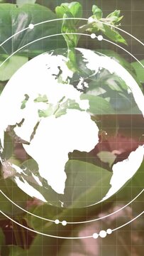 Vertical video: Glint starting globe overlay rising rotating showing maps rings orbiting over plant