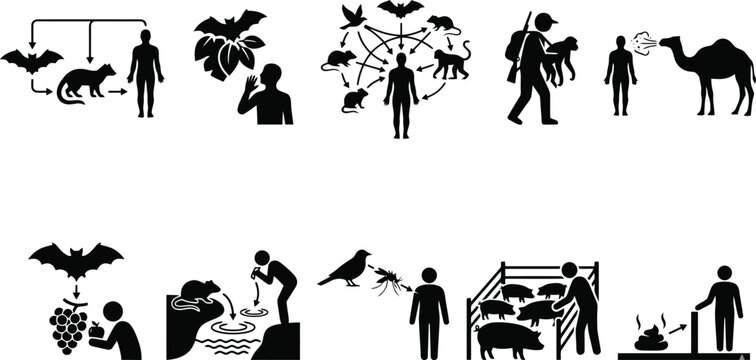 Hantavirus Zoonotic Disease Transmission Pathogen Spread Vector Icon Set for Medical Education, Public Health Infographics & Scientific Research (EPS)