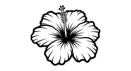 Black and white hibiscus flower line art illustration © verikans