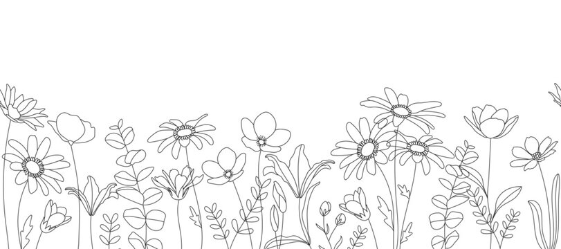Spring and summer flower pattern seamless background vector. Hand drawn botanical floral line art, daisy, wildflower, eucalyptus leaves. Design for wallpaper, banner, print, website.