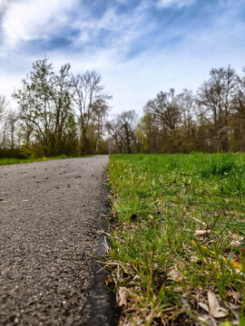 path in the field