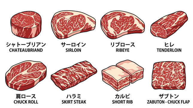 Detailed illustration of various raw beef steak cuts arranged for professional culinary menu design projects