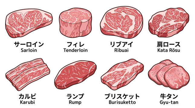 Detailed illustration of various premium beef cuts for culinary reference and professional meat preparation guides