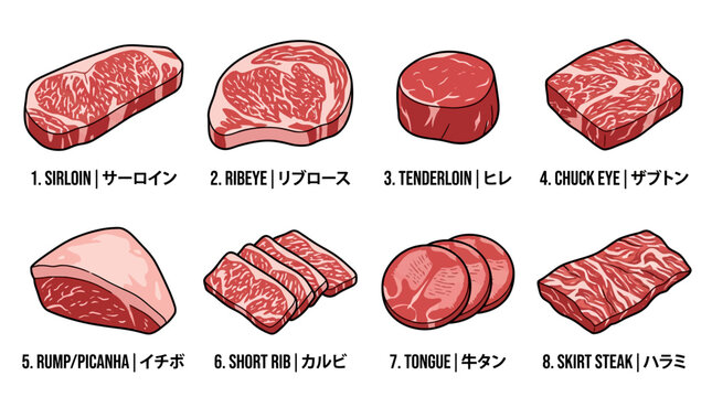 A detailed illustration showing eight distinct cuts of raw beef for culinary preparation and cooking