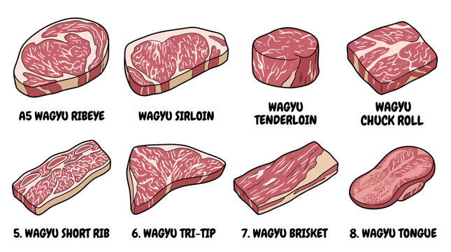 Detailed illustration of various premium wagyu beef cuts arranged in a clean organized grid layout