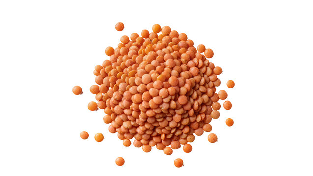 Pile of small round orange-red lentils, isolated on transparent background