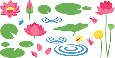 Colorful Water Lily and Pond Plant Illustration Set with Lily Pads, Lotus Flowers, and Pond Insects for Nature Scenes © MDEsmayil