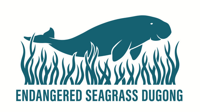 Endangered Sea Dugong Swimming in Seagrass