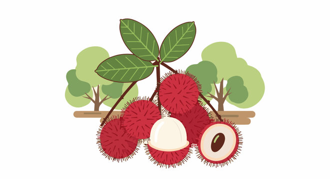 Tropical red fruits on branches with green leafy trees in background