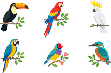 Colorful tropical birds including toucan cockatoo macaw finch and kingfisher on branches vector art © Cansu