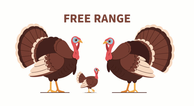 Three brown turkeys, two large, one small, with text "FREE RANGE