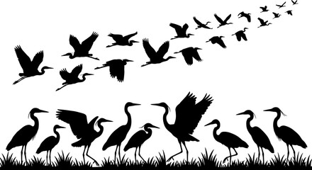 Fototapeta premium Flock of Flying and Standing Heron Silhouette Set Featuring Migrating Stork Crane and Egret Birds in Swamp Grass Nature Vector Graphic Designs