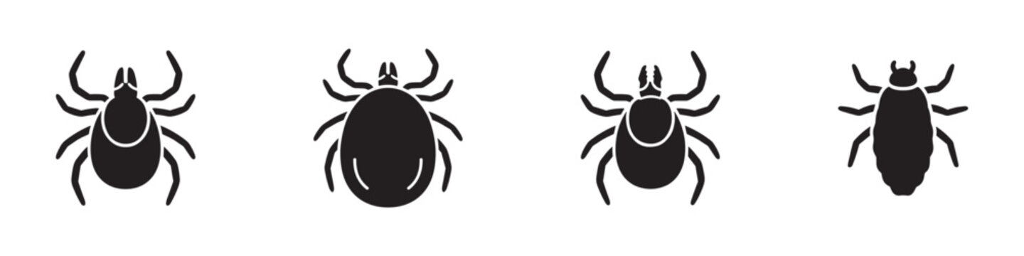 Tick insect icon set. Parasite and mite symbol. Lyme disease and encephalitis prevention sign. Vector illustration. EPS 10